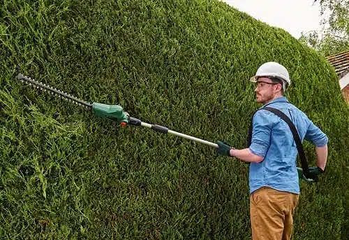 taille-haie électrique sans fil telescopique Bosch