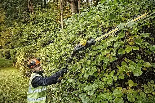 taille-haie Dewalt télescopique