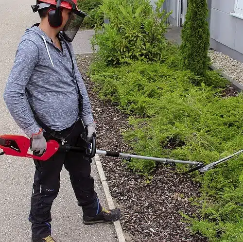 taille-haie électrique telescopique Einhell