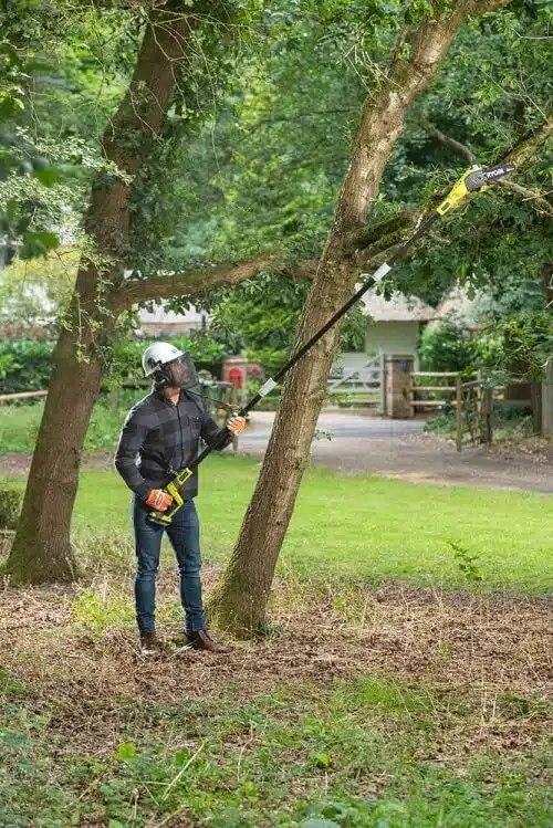 taille-haie télescopique Ryobi batterie