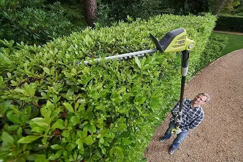 taille-haie électrique Ryobi